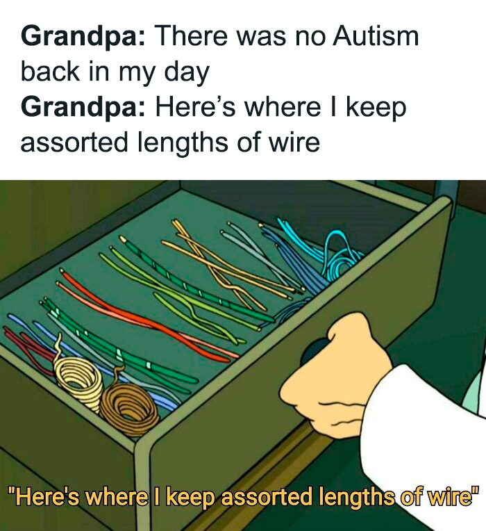 Cartoon showing a drawer with neatly organized assorted lengths of wire and text about life with a neurodivergent brain.