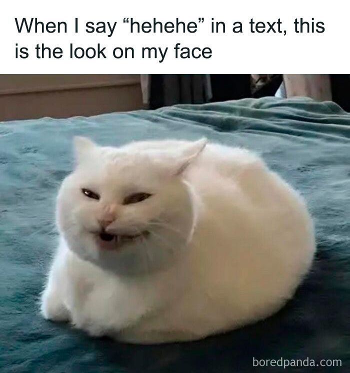 Funny meme featuring a white cat making a silly face for moments when you don’t have the energy for anything else.