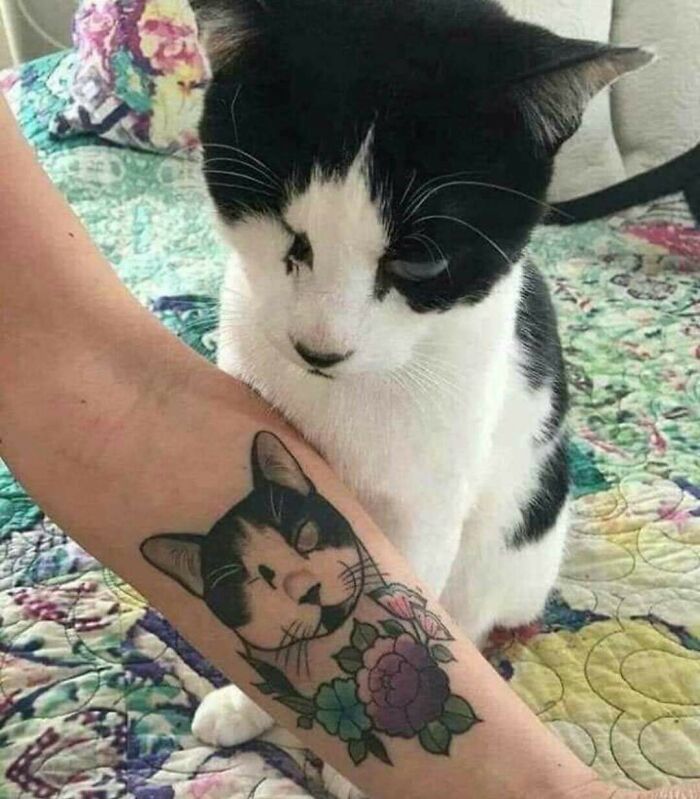 Black and white cat sitting next to a tattoo of itself on a person's arm, showcasing important animal images and human-animal bonds.