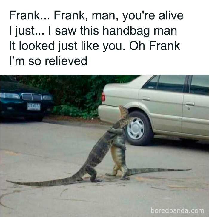 Two lizards hugging on a parking lot with a humorous caption, perfect for cute and sweet animal memes.