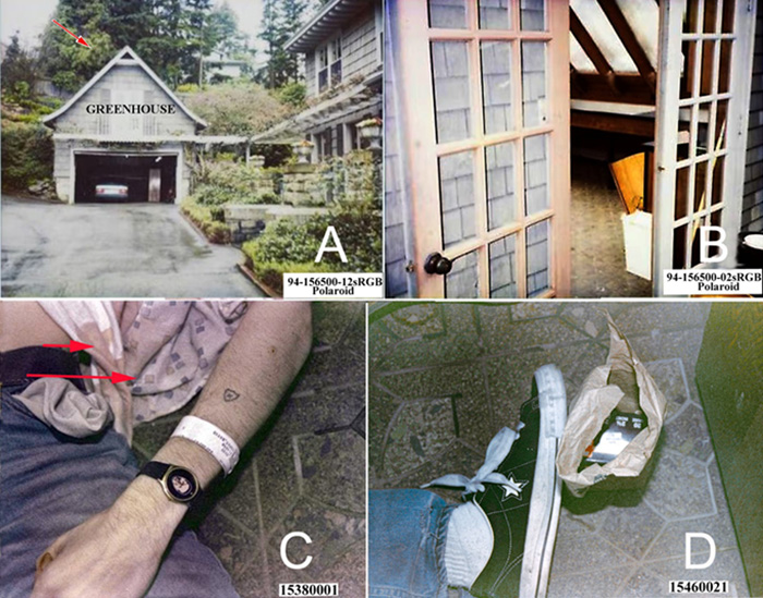 Forensics expert examining evidence suggesting Kurt Cobain’s passing was not self-inflicted at the crime scene. Forensics expert examining evidence suggesting Kurt Cobain’s passing was not self-inflicted at the crime scene.