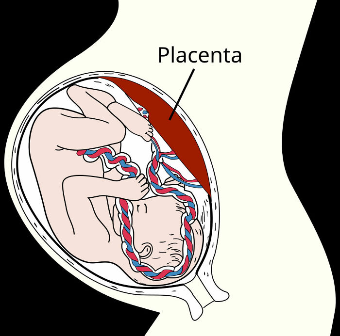 62 Medical Facts That Sound Made Up Even Though They Are True