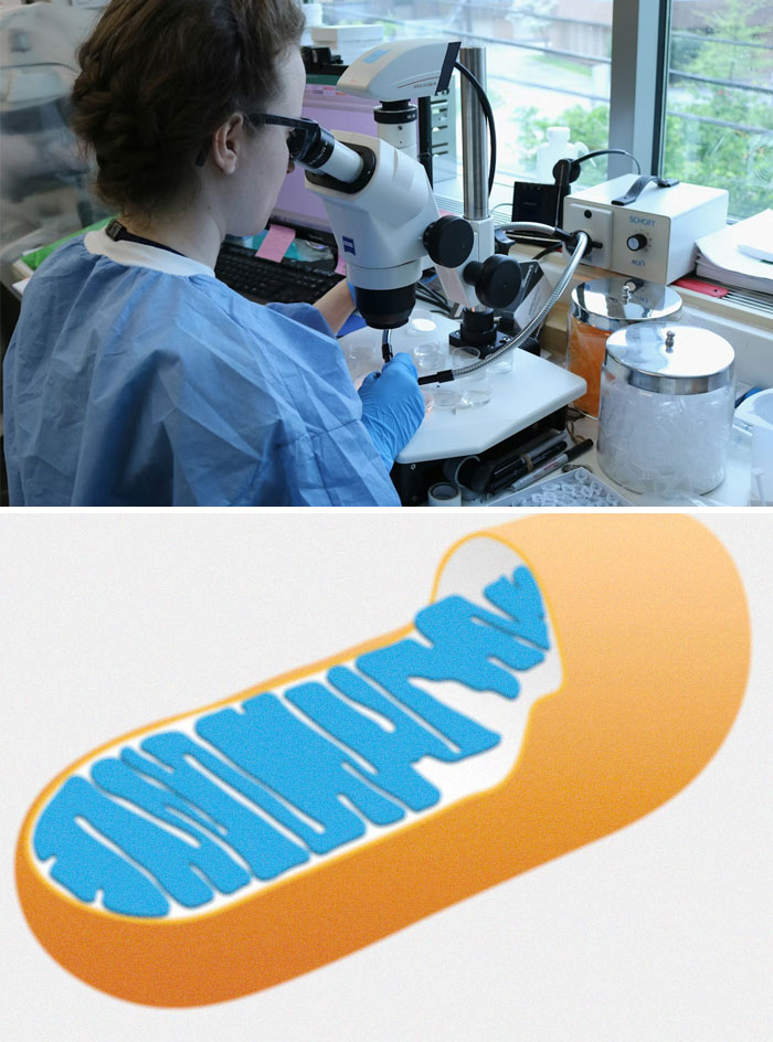 62 Medical Facts That Sound Made Up Even Though They Are True