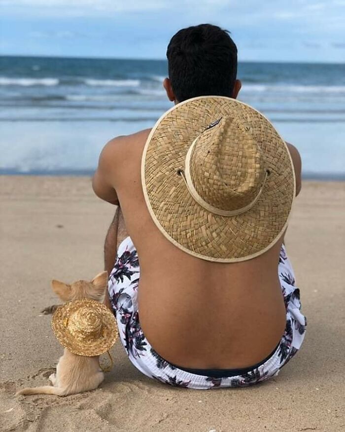 Man and small dog wearing matching straw hats sitting on the beach, capturing important animal images of human-animal bonds.