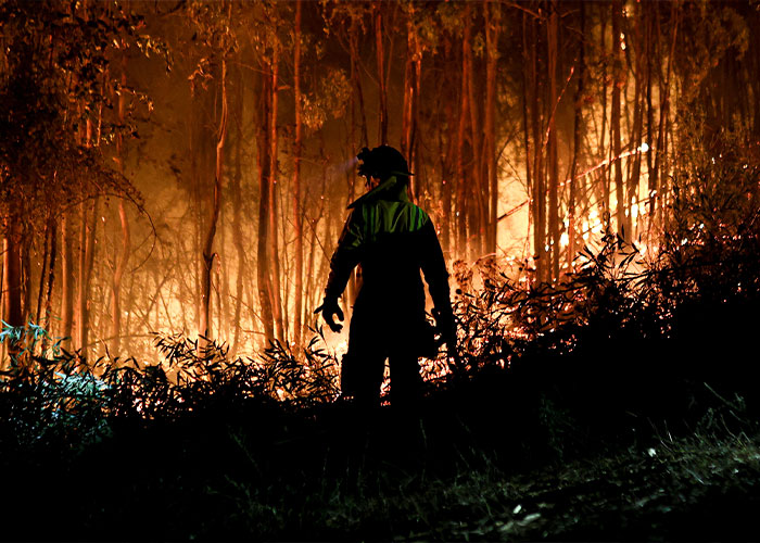 Volunteer firefighter silhouetted against massive flames during chaotic Chile wildfires burning a town overnight. Volunteer firefighter silhouetted against massive flames during chaotic Chile wildfires burning a town overnight.