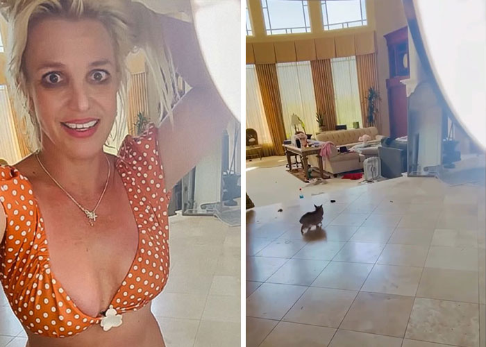 Woman in orange polka dot top and cluttered living room with small animal highlight worst celebrity homes and taste.