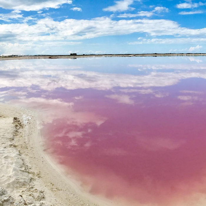 Pink salt lake in Mexico with sandy shore and blue sky reflection, fun facts about Mexico