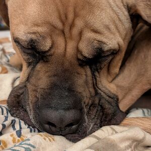 melaniekirschnick avatar