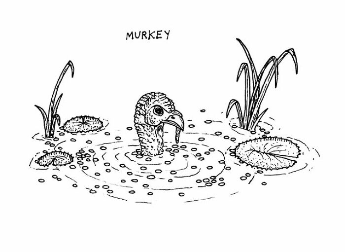 Black and white drawing of a turkey head emerging from a murky pond, illustrating a clever visual pun by the artist.