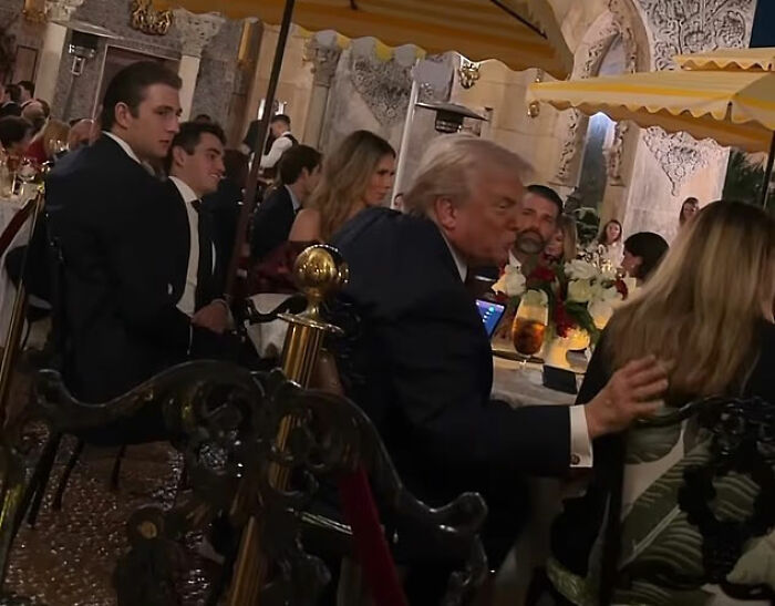 Melania Trump and guests at Mar-a-Lago, seated under yellow umbrellas during an evening event. Melania Trump and guests at Mar-a-Lago, seated under yellow umbrellas during an evening event.