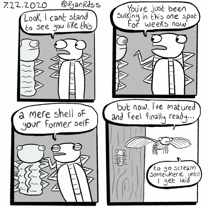 Comic artist's dark, absurd punchline showing a cicada ready to mature and scream beyond its shell.