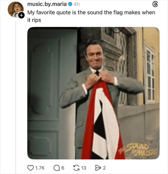 Man holding a flag in a viral Disney thread post that sparked unexpected reactions and was later deleted online.