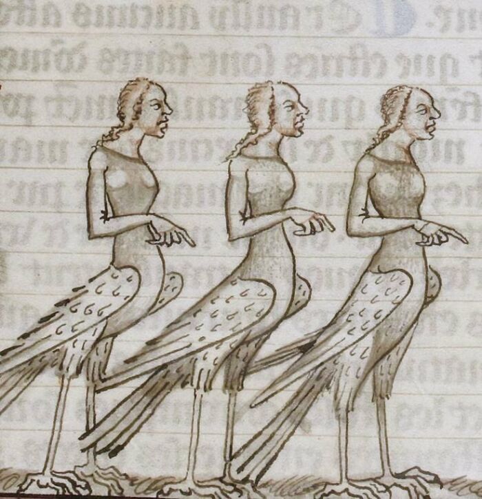 Three medieval bird-women in a row with human faces and gestures, featured in medieval paintings for meme captions.