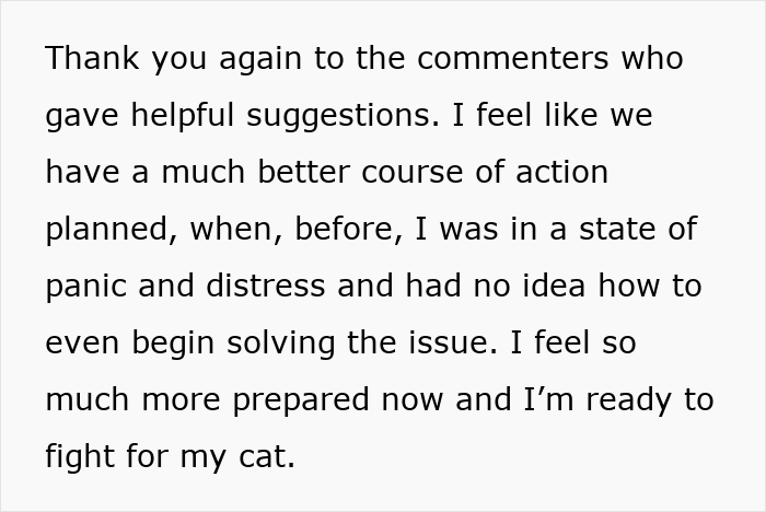 Text message expressing gratitude for suggestions and readiness to fight for the cat after days of it disappearing.