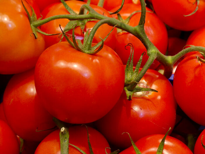 Close-up of ripe red tomatoes on the vine, highlighting the texture and color in a fresh produce setting.