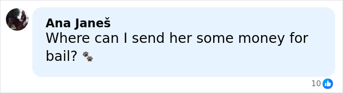 Woman, 64, Leaves Husband With Life-Threatening Injuries After He Reveals He Put Down Their Dogs Woman, 64, Leaves Husband With Life-Threatening Injuries After He Reveals He Put Down Their Dogs