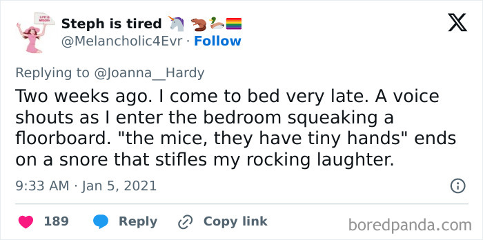 Screenshot of a tweet sharing one of the funniest things heard someone say in their sleep about mice with tiny hands.
