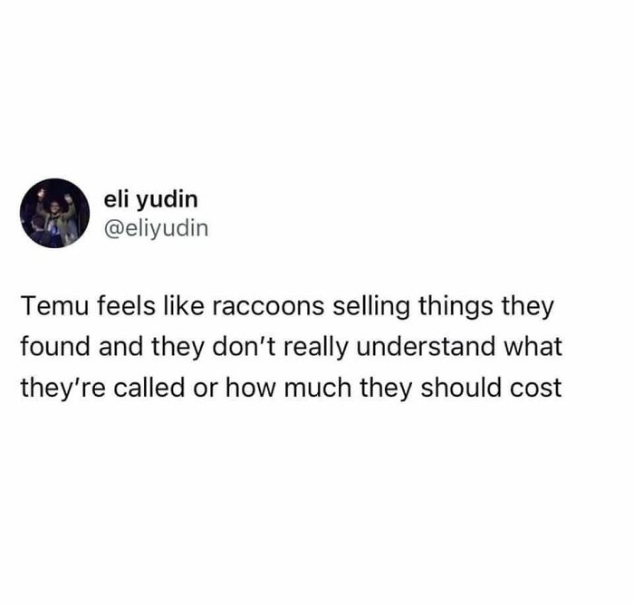 Funny meme text about raccoons selling unknown items, illustrating absurd humor in memes that make no sense but work.