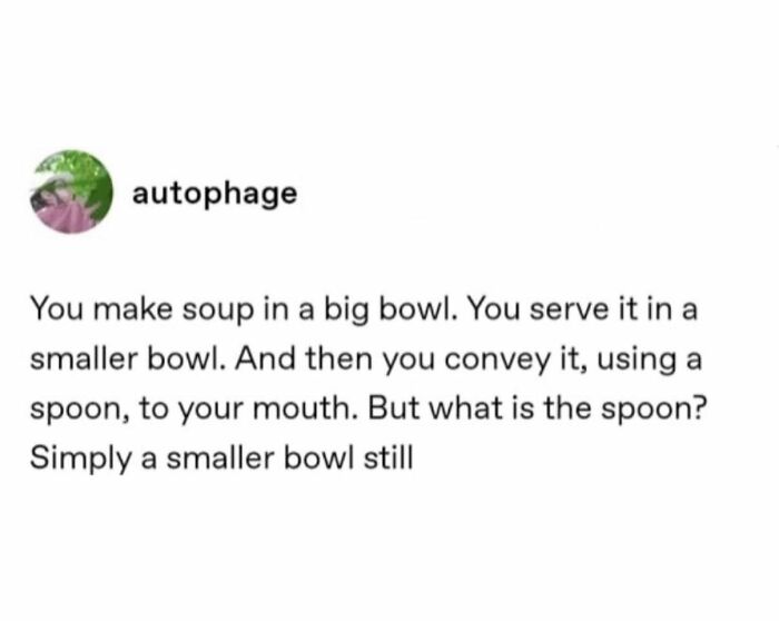 Funny meme about soup bowls and spoons as smaller bowls, perfect for moments with no energy.