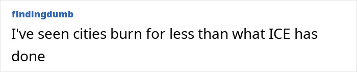 Text post from findingdumb reading I've seen cities burn for less than what ICE has done, referencing a heated debate about ICE.