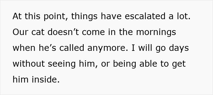 Text excerpt about a person&rsquo;s cat disappearing for days and not coming inside despite being called.