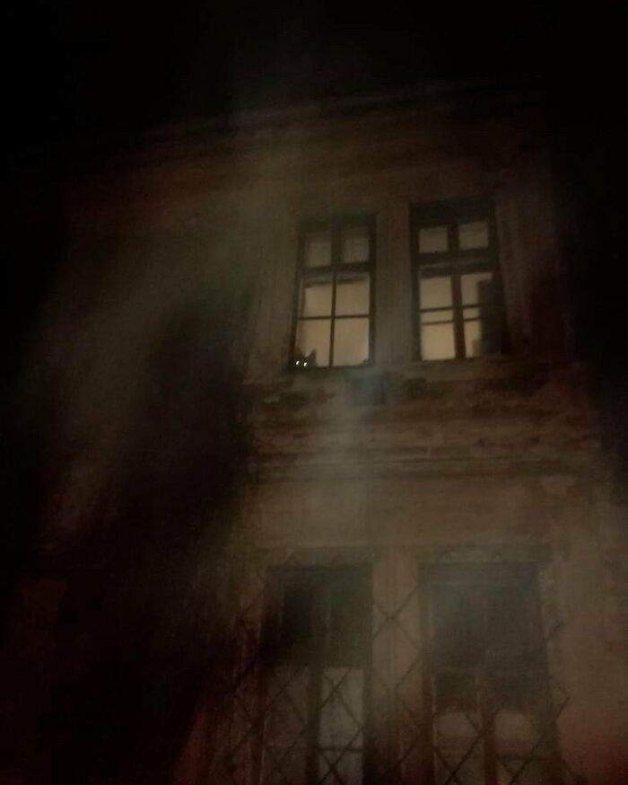 Dog caught peeking out of a dimly lit second-story window of an old building at night.