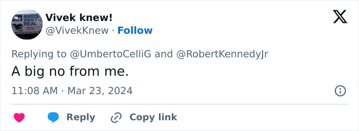 Screenshot of a tweet reply stating a firm no, referencing Alicia Silverstone glitching at the Golden Globes viral moment. Screenshot of a tweet reply stating a firm no, referencing Alicia Silverstone glitching at the Golden Globes viral moment.