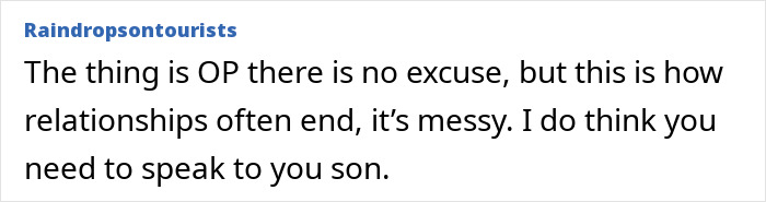 Commenter Raindropsontourists expressing opinion about messy relationships and advising to speak to son after learning about cheating. Commenter Raindropsontourists expressing opinion about messy relationships and advising to speak to son after learning about cheating.