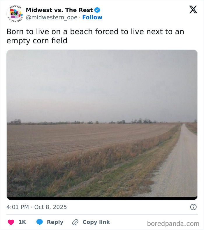 Empty Midwest cornfield alongside a dirt road under a cloudy sky, reflecting Midwest life and corn farming culture.