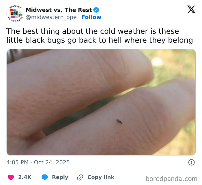 Close-up of a tiny black bug on a finger, illustrating spot-on memes about Midwest life and its unique seasonal experiences.