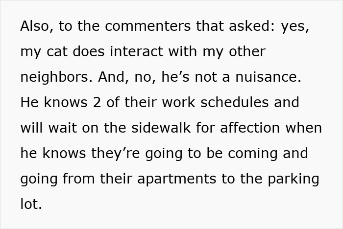 Text explaining how a cat interacts with neighbors and is not a nuisance, knowing their schedules for affection.