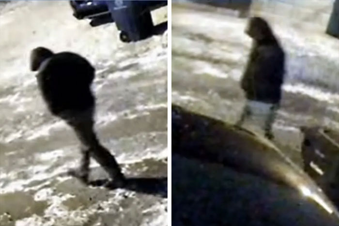 Blurry surveillance images showing a person walking outside near trash bins in snowy conditions related to Ohio dentist homicide case.