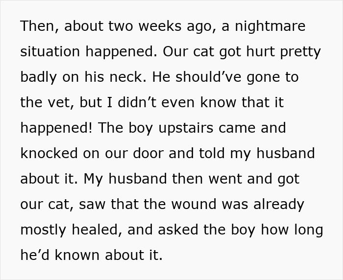 Text excerpt describing a cat&rsquo;s injury and the neighbor discovering and caring for the cat, related to cat disappearing and neighbor adopting.