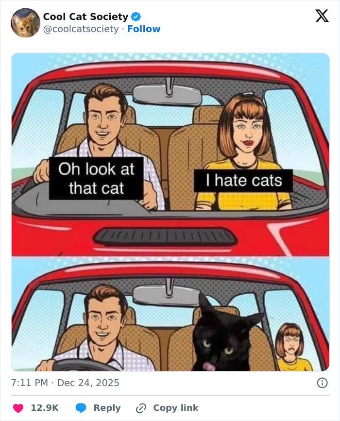 Cartoon meme showing a man admiring a cat while woman in a car says she hates cats, humor with funny cat memes.
