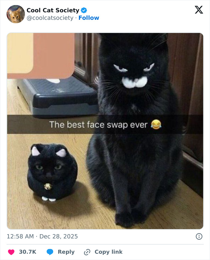 Black cat with a swapped face effect on a cat figurine, creating a funny and awesome cat meme moment.