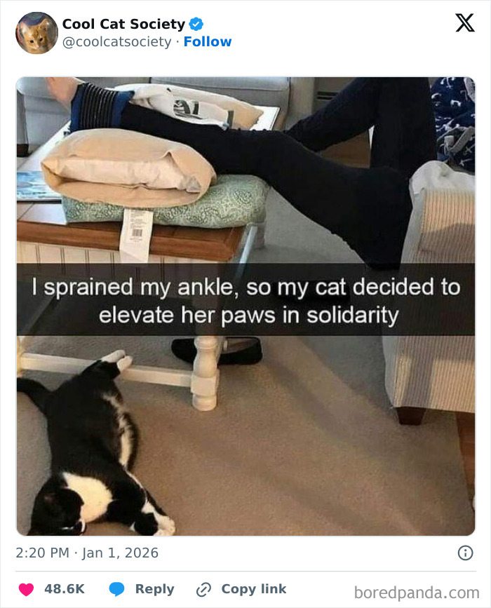 Cat lying on carpet beside person with elevated ankle, showing funny cat solidarity and cuteness in a cozy home setting.