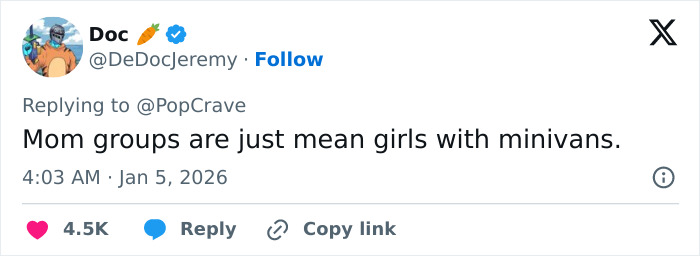 Tweet screenshot: Mom groups are just mean girls with minivans, tied to Ashley Tisdale controversy.