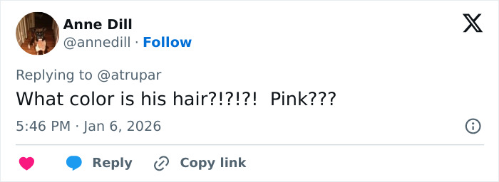 Tweet from Anne Dill questioning the color of Trump's hair turning pink, discussing professional stylist insights. Tweet from Anne Dill questioning the color of Trump's hair turning pink, discussing professional stylist insights.