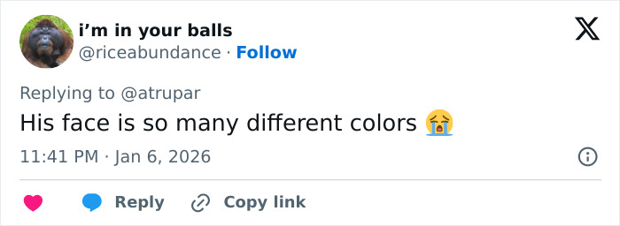 Tweet screenshot showing a user commenting on a face with many different colors, related to professional stylist reveals why Trump's hair has turned pink.