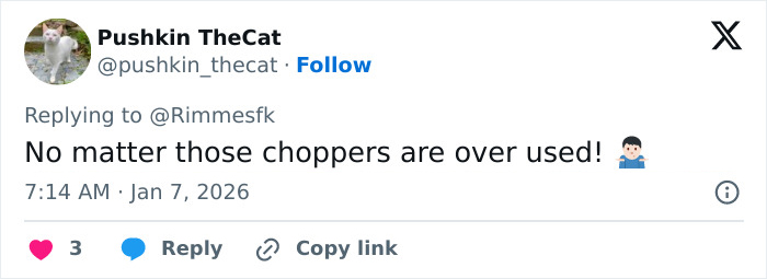 Tweet screenshot by Pushkin TheCat replying to video of Prince William with his kids, comment about choppers being overused Tweet screenshot by Pushkin TheCat replying to video of Prince William with his kids, comment about choppers being overused