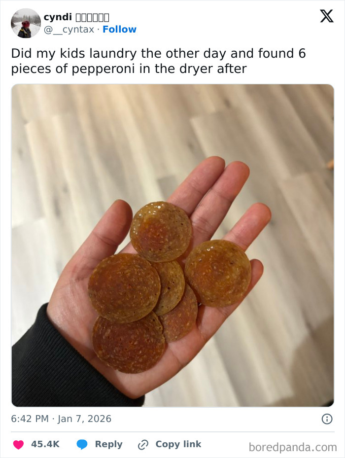Hand holding six crispy pepperoni slices found in a dryer, illustrating comedic parenting moments from tweets.