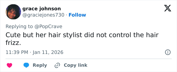 Tweet by grace johnson commenting on Elle Fanning&rsquo;s Electric Head Golden Globes look and hair stylist controlling frizz.