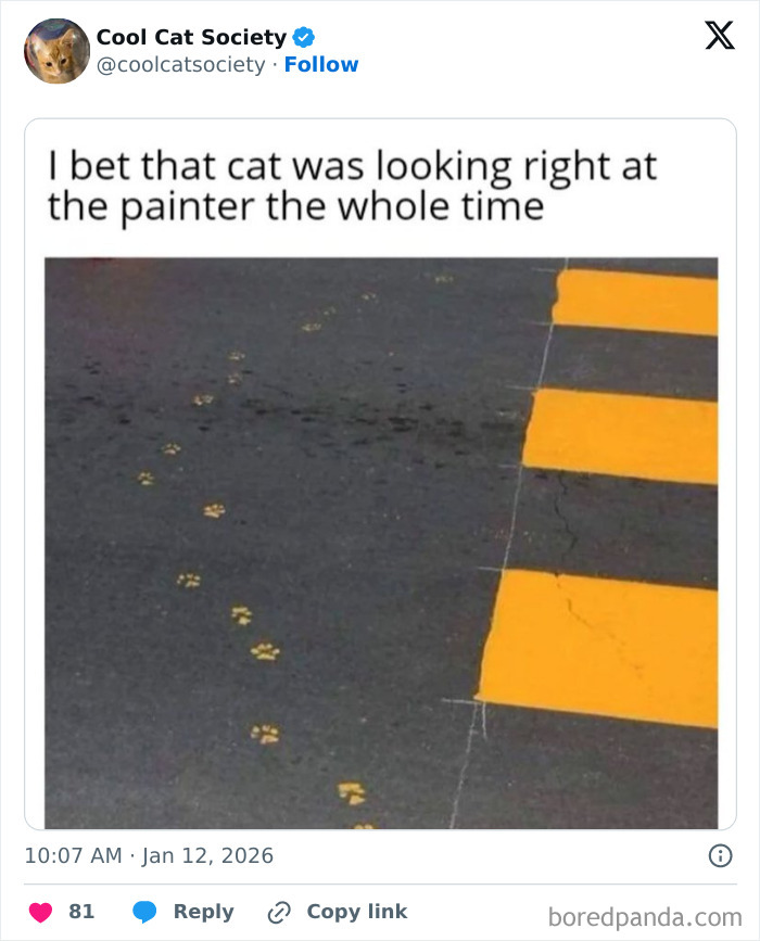 Yellow cat paw prints crossing a street near bright yellow pedestrian lines, funny cat meme about painted footprints.