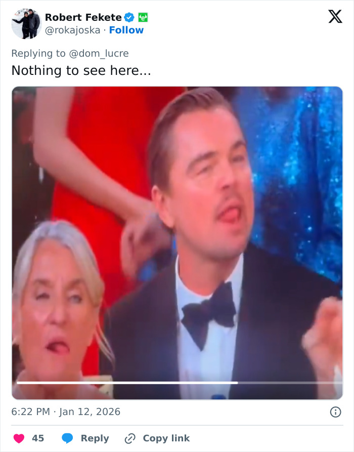 Lip Reader Reveals Leonardo DiCaprio’s Viral Sassy Golden Globes Exchange That Sparked Theories Lip Reader Reveals Leonardo DiCaprio’s Viral Sassy Golden Globes Exchange That Sparked Theories