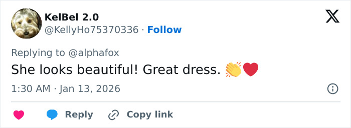 Social media post praising Alicia Silverstone's dress as she appears glitching at the Golden Globes event.