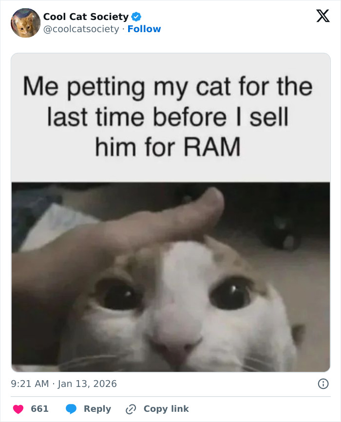 Cat meme showing a person petting a cat’s head with text about selling the cat for computer RAM, highlighting funny cat moments.