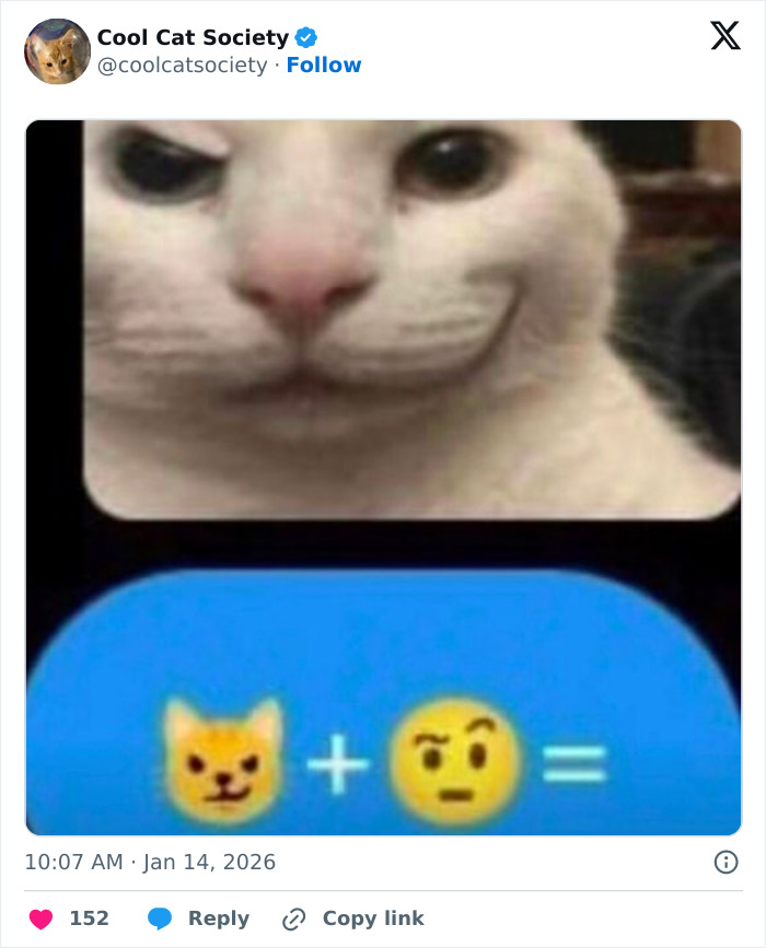 Close-up of a white cat with a quirky smile next to cat and thinking face emojis in a funny cat memes post.