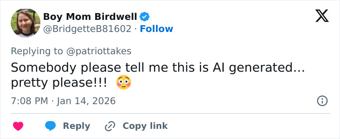 Twitter post from user Boy Mom Birdwell reacting to a Mar-a-Lago event with people in dog masks and old-time costumes. Twitter post from user Boy Mom Birdwell reacting to a Mar-a-Lago event with people in dog masks and old-time costumes.