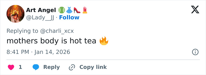 Social media comment praising Charli XCX's racy braless photo dump, calling her body hot and fiery.