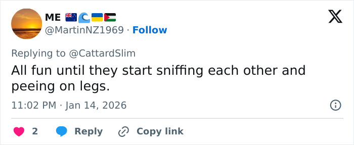 Tweet comment mocking a Mar-a-Lago event featuring people in dog masks and old-time costumes. Tweet comment mocking a Mar-a-Lago event featuring people in dog masks and old-time costumes.